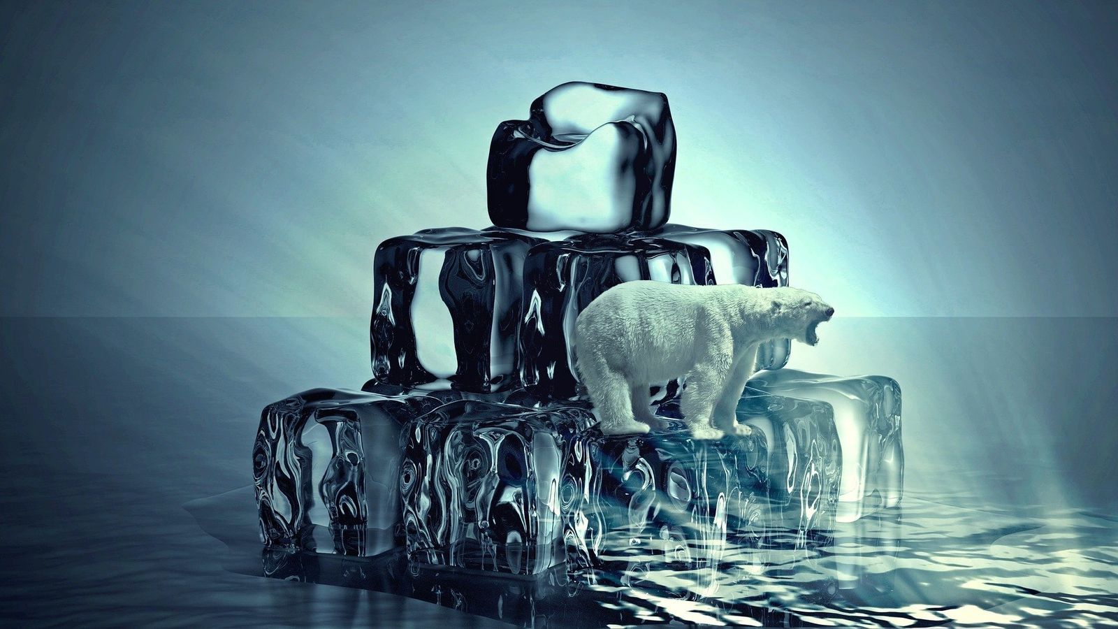 El Cambio Climático y Transición Energética