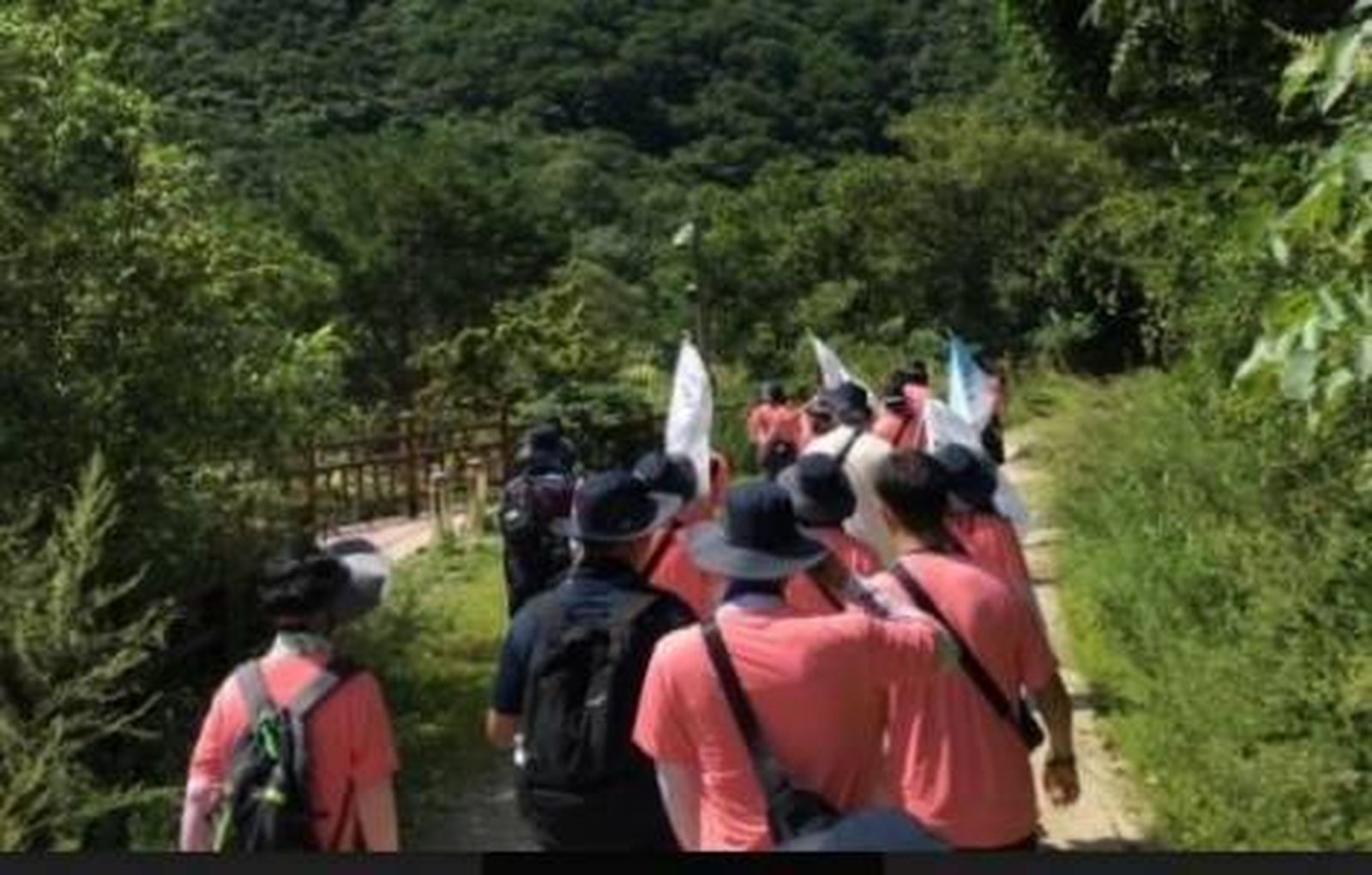 Peregrinación Mundial de la Juventud por la Paz