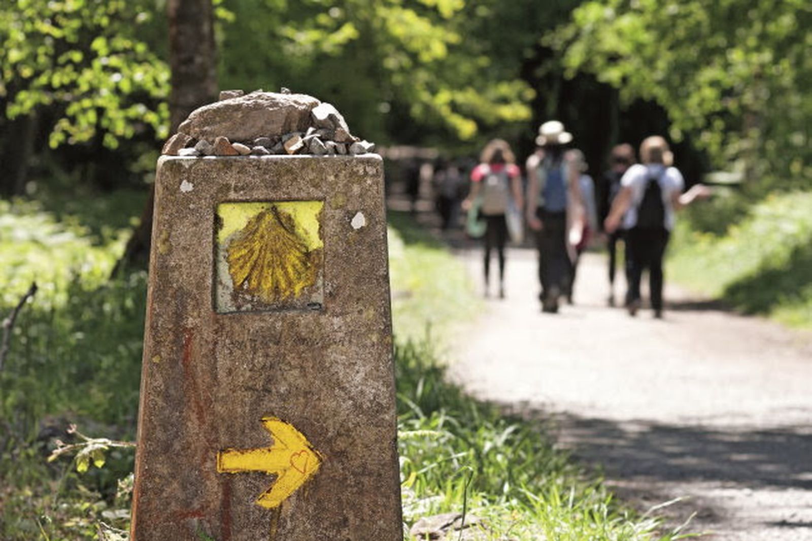 Pagola: "La peregrinación permite ahondar en lo esencial de la vida".