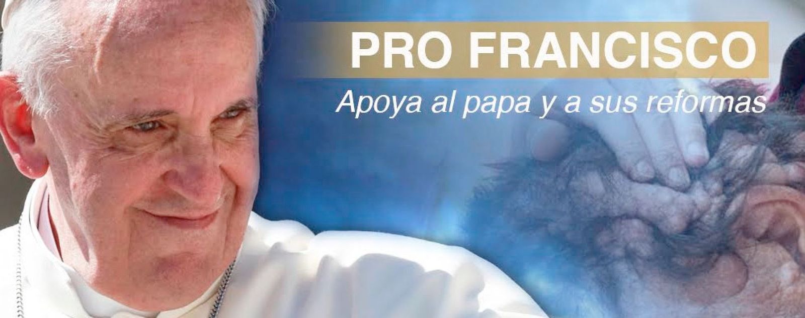 Pro Francisco