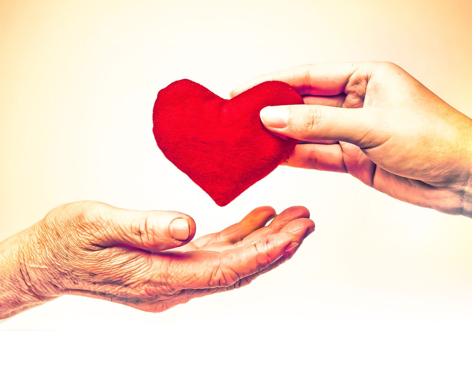 La vida del corazón